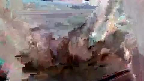 suttond4858 online show from 09.12.25