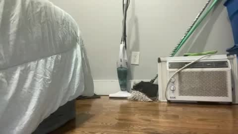 Snapshot of suzzy_q chatting on 03.07.25 Just E F3M B0i online show from 03.07.25