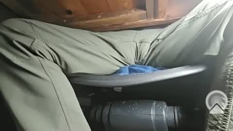 swamp486822 online show from 02.05.25