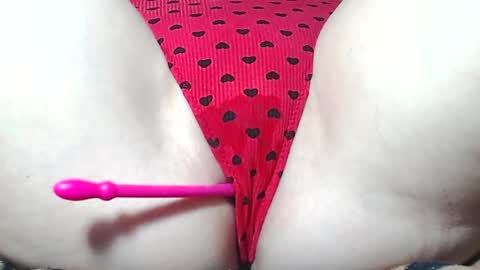 Kitten online show from 04.02.26