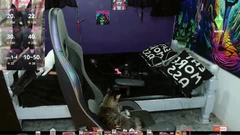 Snapshot of sweet_kitty66 chatting on 09.20.25 elizabeth grey online show from 09.20.25