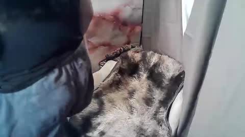 Snapshot of sweet_ruby1994 chatting on 11.19.25 RUBY online show from 11.19.25