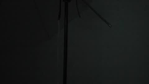 sweetandwilld online show from 07.01.26