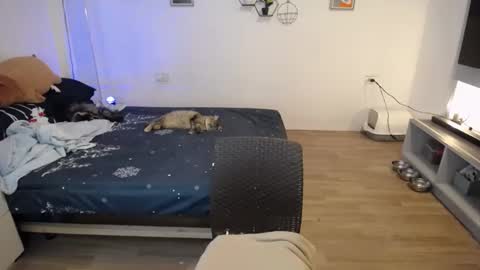 angel 3 online show from 01.21.25