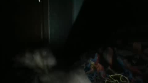 Snapshot of sweetpussylicks chatting on 02.07.25 sweetpussylicks online show from 02.07.25