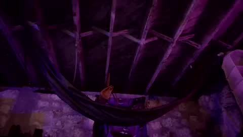 Snapshot of switchinjay chatting on 10.02.25 switchinjay online show from 10.02.25