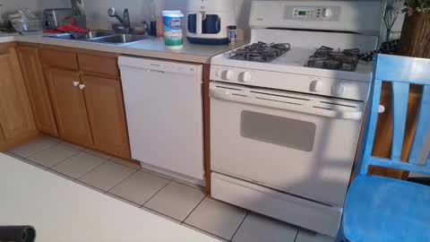 Snapshot of switchykitty chatting on 12.08.24 ashley blayde online show from 12.08.24