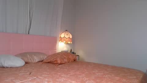 Snapshot of switchykitty chatting on 01.29.25 ashley blayde online show from 01.29.25