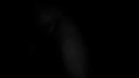 Snapshot of swollpole2112 chatting on 03.10.26 swollpole2112 online show from 03.10.26