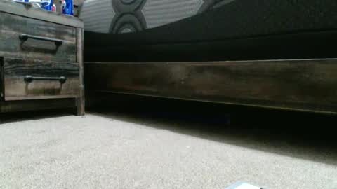 sxtn002 online show from 12.20.24