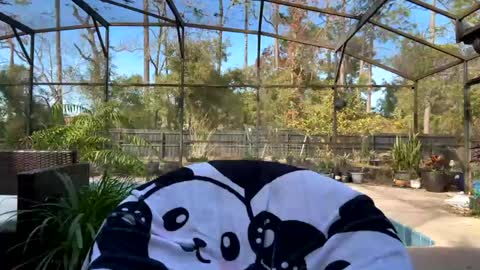 Jennah online show from 02.01.25