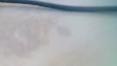 syrius57920 online show from 12.05.24