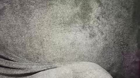 t0ny_cawk online show from 12.22.24