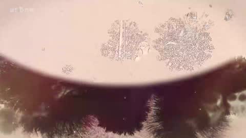 TAANNI online show from 02.22.26