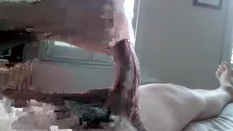 Tactful1 online show from 04.03.26