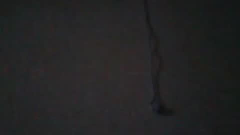 tahtouhafakroune12 online show from 04.04.26