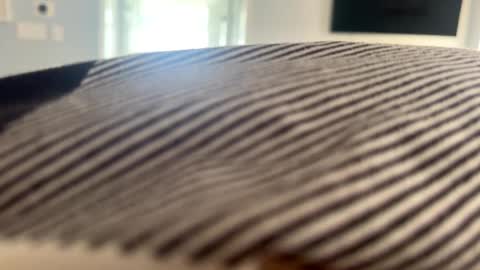 Snapshot of talk2me818 chatting on 01.02.25 talk2me818 online show from 01.02.25