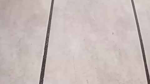 tall6feet7inch online show from 09.24.25