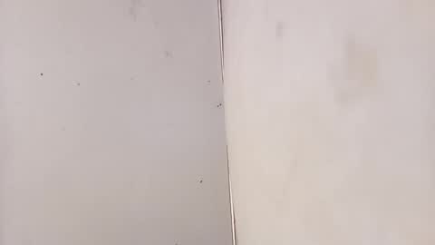 tall6feet7inch online show from 02.03.26