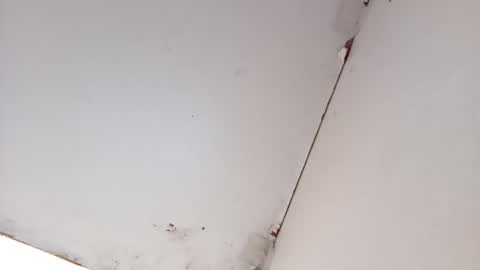 tall6feet7inch online show from 03.16.26