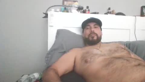 Snapshot of talllatino310 chatting on 01.02.25 talllatino310 online show from 01.02.25