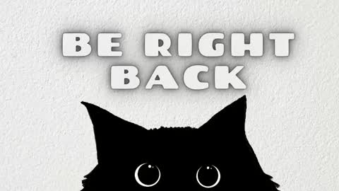 Rousaly online show from 02.08.26