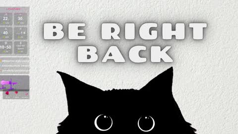 Rousaly online show from 04.02.26