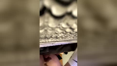 tampa0boner0donor online show from 01.19.26