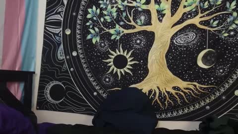 Tarrow online show from 12.29.24