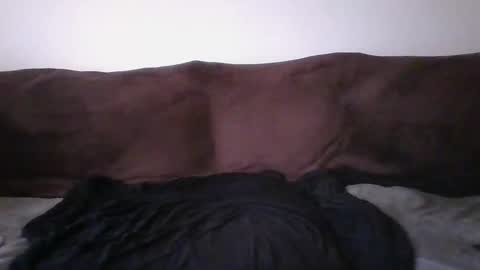 tarshil017 online show from 02.18.26