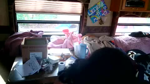 tastycakes999 online show from 11.18.25