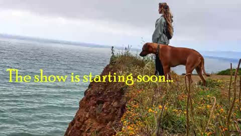 Snapshot of tatum__kahlo chatting on 10.30.25 TATUM ALL MY LINKS online show from 10.30.25