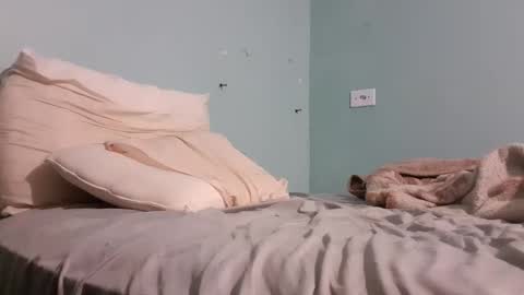 Snapshot of taulerfox chatting on 11.22.25 Caito online show from 11.22.25