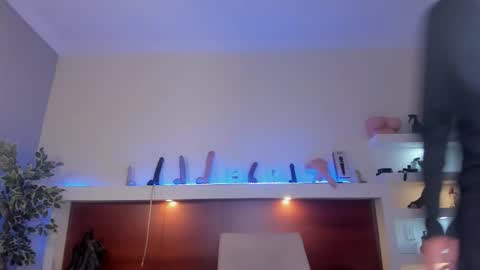 Snapshot of taylorharp chatting on 10.04.25 Taylor online show from 10.04.25