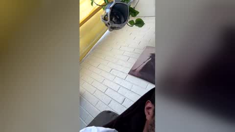 tazhardaway3435 online show from 02.01.26