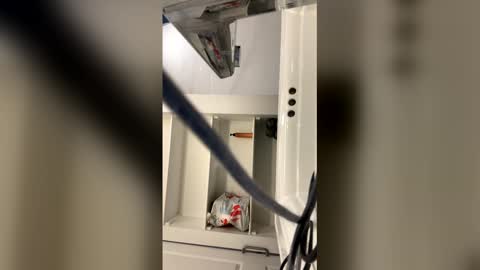 tazhardaway3435 online show from 02.05.26