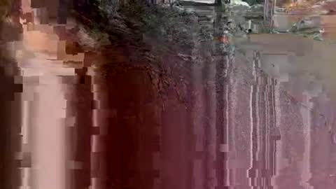 tbaexox online show from 09.18.25