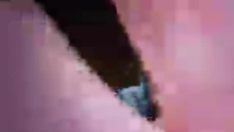 Snapshot of tdave486 chatting on 06.19.26 tdave486 online show from 06.19.26