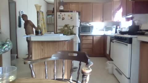 Teak online show from 10.01.25