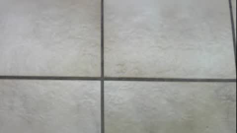 Snapshot of teninchheels chatting on 12.22.24 teninchheels online show from 12.22.24