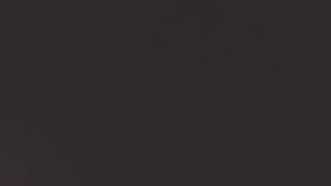 TESSA online show from 01.11.25