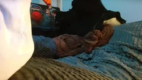 GIORGGIO online show from 04.10.26