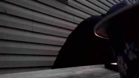 the_invincible_1 online show from 11.02.25