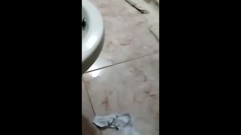 thedo121111 online show from 10.01.25