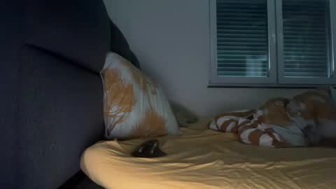 thefreebro online show from 02.18.25