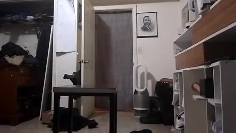 Arching4Life online show from 12.20.24