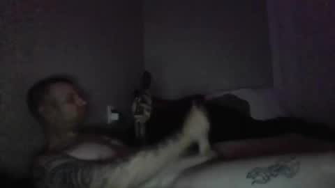 thehammer_cookie online show from 03.01.26