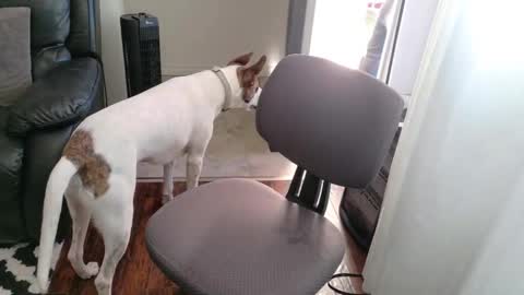 thekodyy online show from 11.15.25