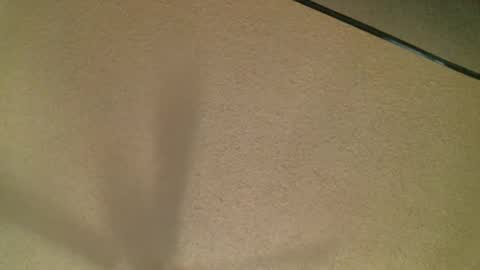 Snapshot of themormonman chatting on 10.19.25 Daisy and Tim online show from 10.19.25