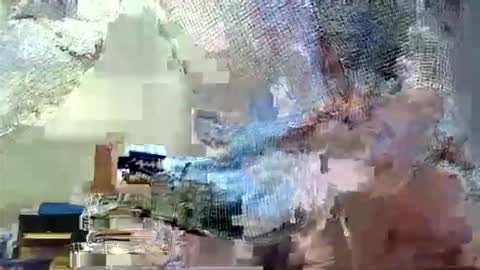 themouse6969 online show from 10.13.25